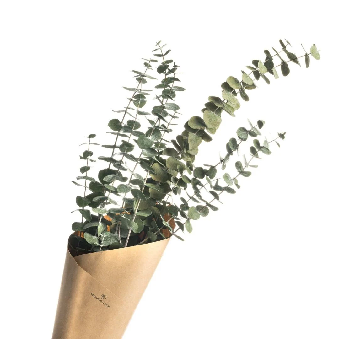 Produits non-éligibles aux promotions